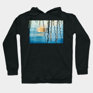 Abstracts from the sea #13 Hoodie